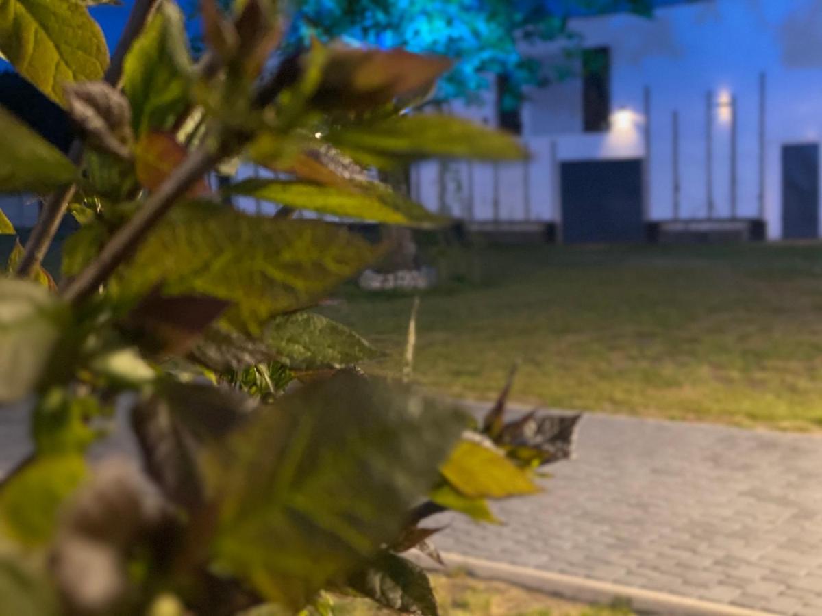 Zajazd W Bialej Grodzisk Wielkopolski Bagian luar foto